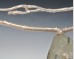 Twig & beachstone necklace