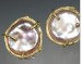Coin pearl twig earrings
